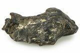 Gebel Kamil Iron Meteorite ( g) - Egypt #265433-1